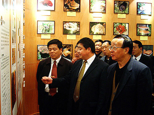 PA游戏·集团(中国区)·有限公司官网