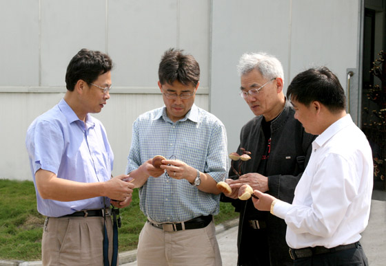 PA游戏·集团(中国区)·有限公司官网 PA游戏·集团(中国区)·有限公司官网